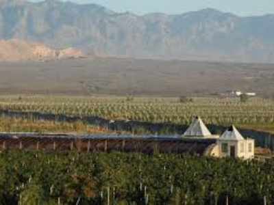 Helan Qingxue Vineyard Helan Qingxue Vineyard