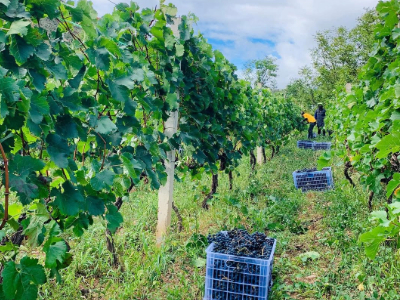 Xiaoling Estate Xiaoling Estate