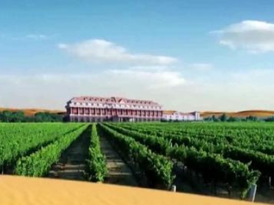 Chateau Hansen Chateau Hansen