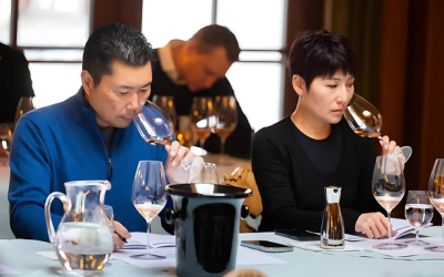 Wine Tasting WIne Tasting